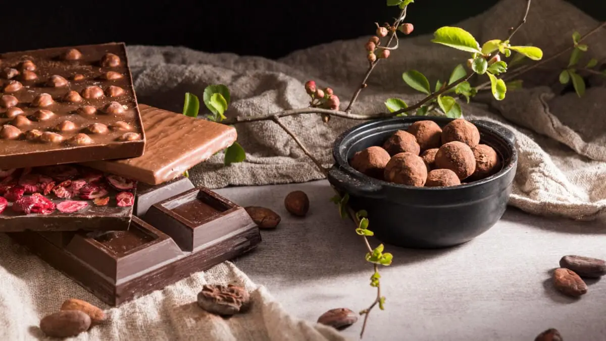 Chokladprovning för nybörjare illustration